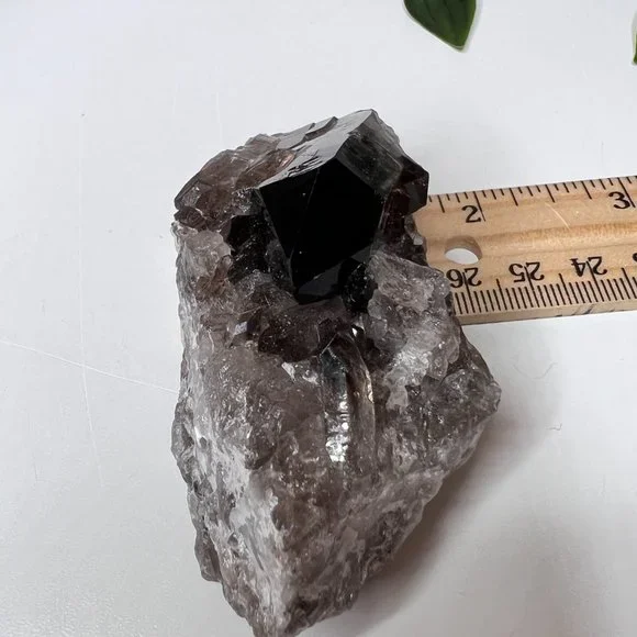 Smoky Quartz Crystal Points Cluster - Smoky Quartz Point Crystal Cluster - Picture 6 of 11